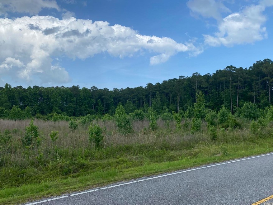 Lot 3 Berley Mc Rd, Conway, SC 29526 - photo 1