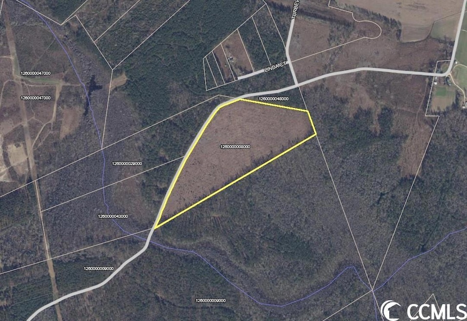 0 Craven Rd, Marion, SC 29571 - photo 1