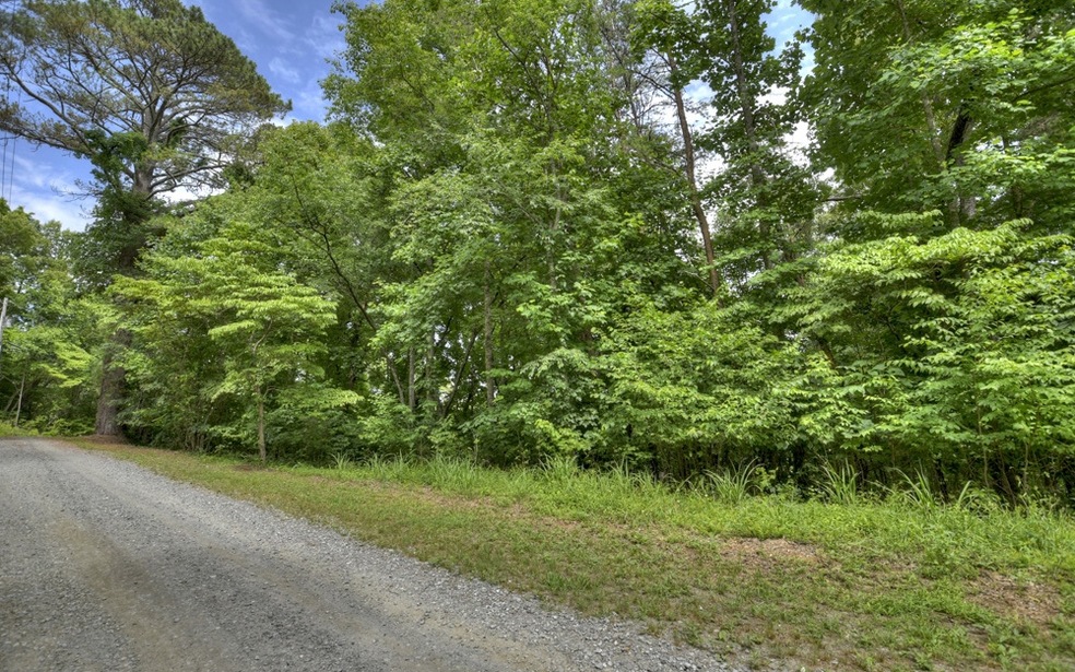 LT 42 Mountain Rivers Ln, Mineral Bluff, GA 30559 - photo 1