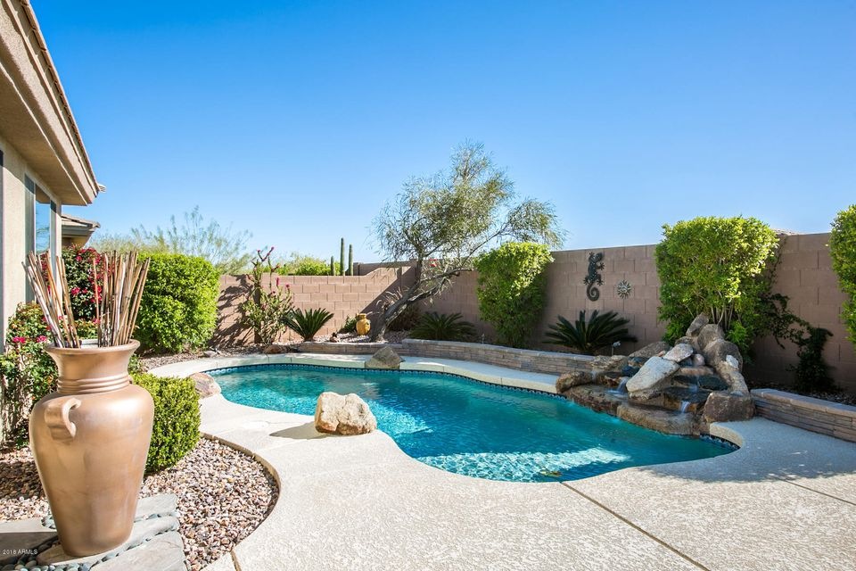 Resort Style Back Yard
