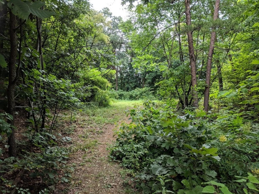 TBD Dennis Dr, Johnson City, TN 37601 - photo 1