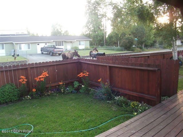 Fenced yard