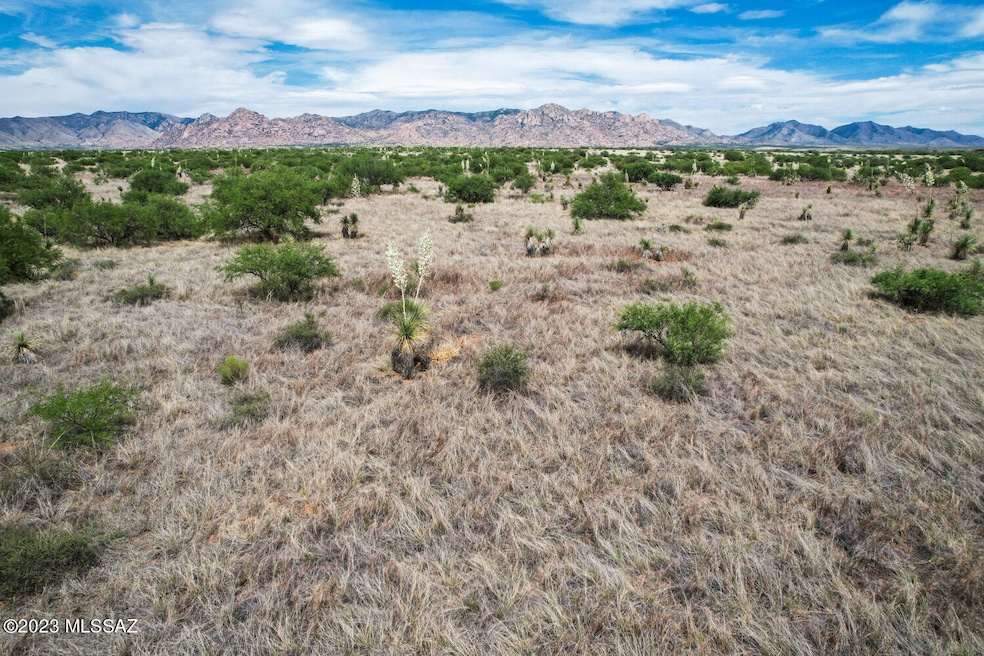 36.33 Acre E Tom Jeffords Dr unit 66, St. David, AZ 85630 - photo 1