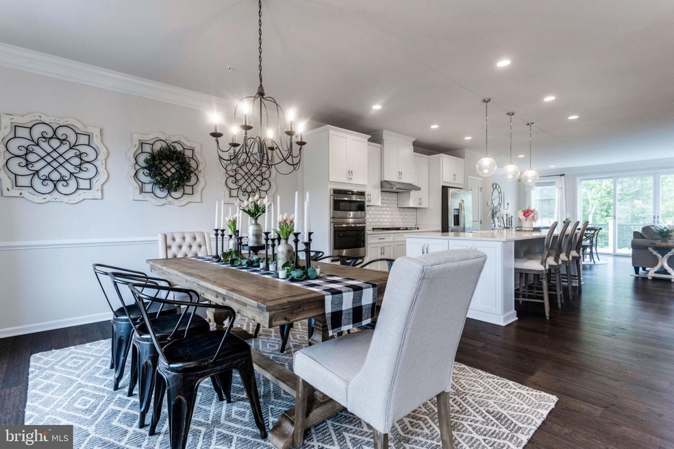 25041 Cambridge Hill Terrace, Chantilly, VA 20152 - photo 1