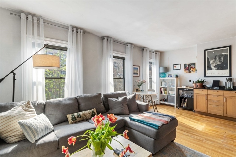 182 W Brookline St unit 4, Boston, MA 02118 - photo 1