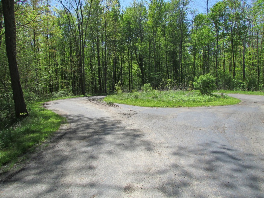 17298 River Bluff Dr, New Buffalo Township, MI 49129 - photo 1