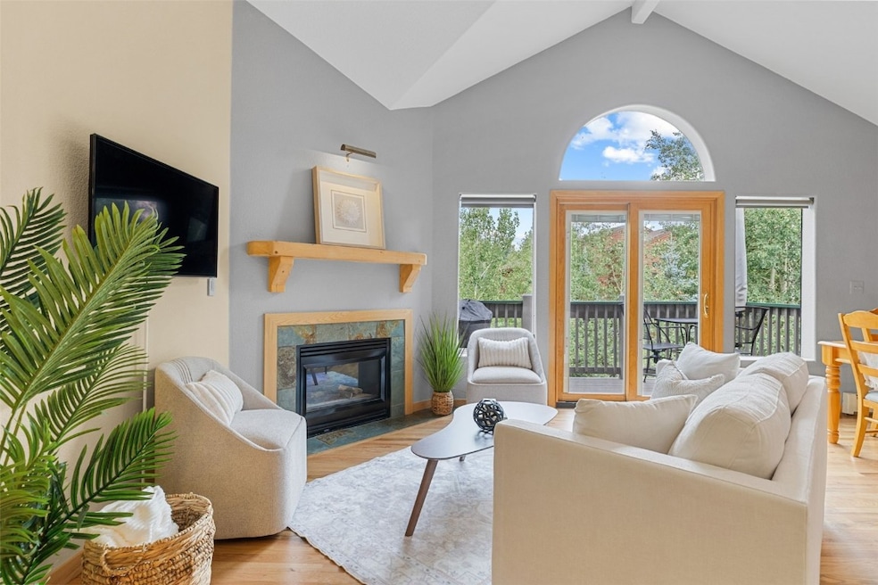 803 Lakepoint Ct unit B, Breckenridge, CO 80424 - photo 1