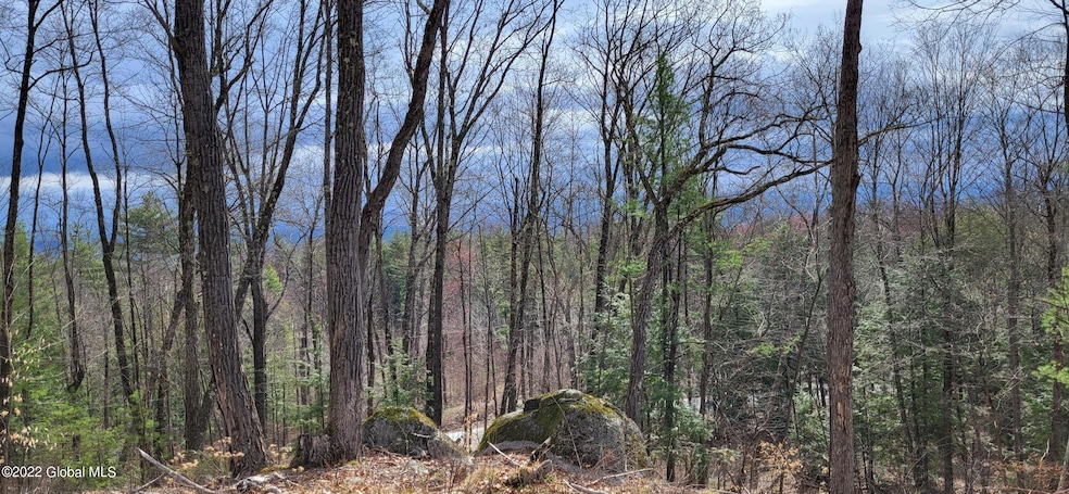 L3 Clendon Brook Rd unit ADIRONDACK PK, Queensbury, NY 12804 - photo 1