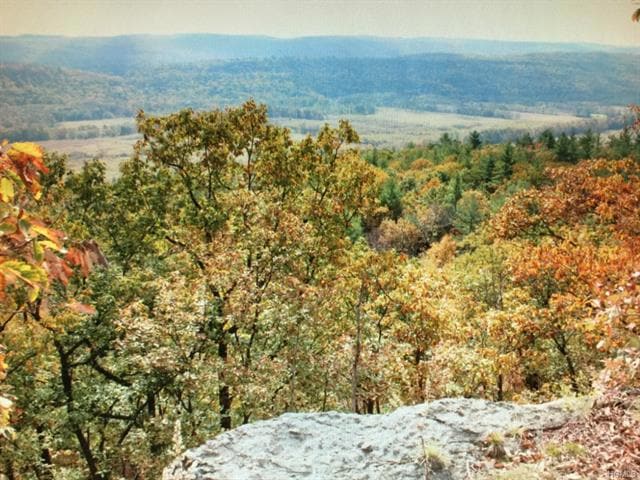 525 Route 209, Deer Park, NY 12746 - photo 1