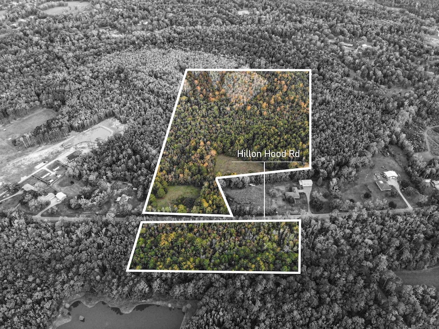 27+- Acres Hillon Hood Rd, Denham Springs, LA 70726 - photo 1