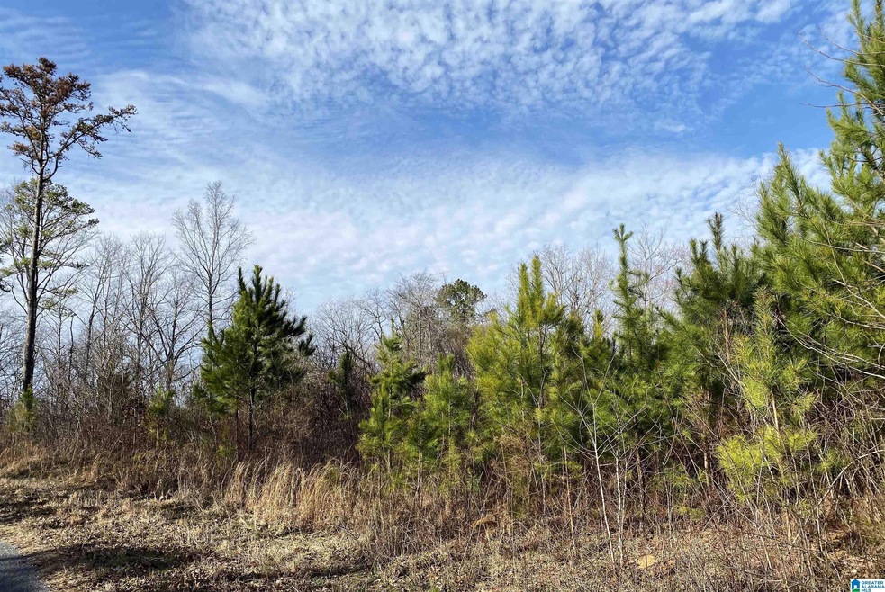 0 Center Hill Rd unit 21411639, Locust Fork, AL 35172 - photo 1