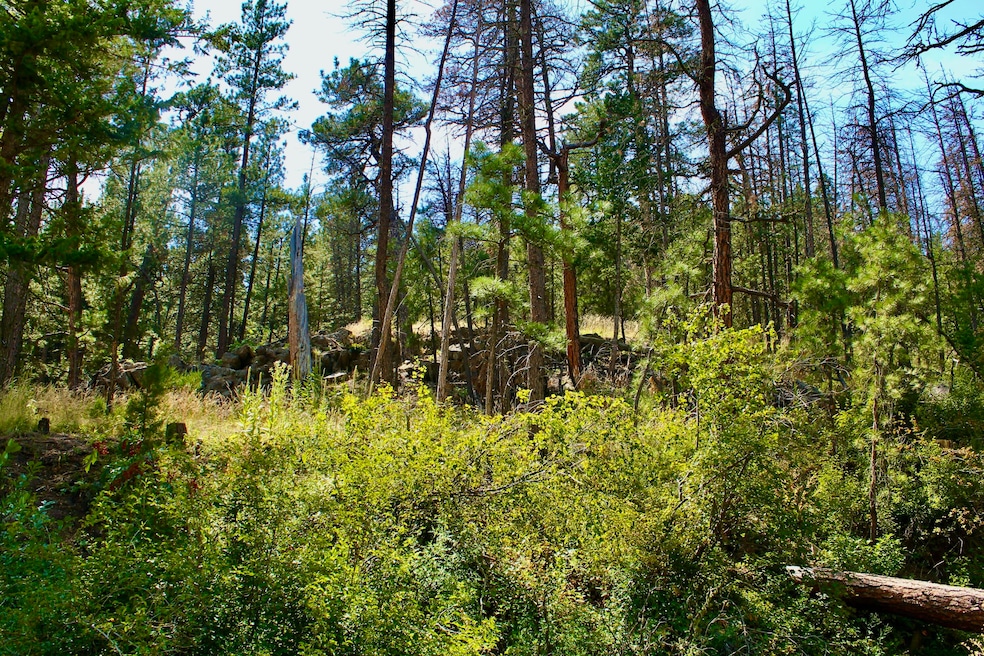 Land