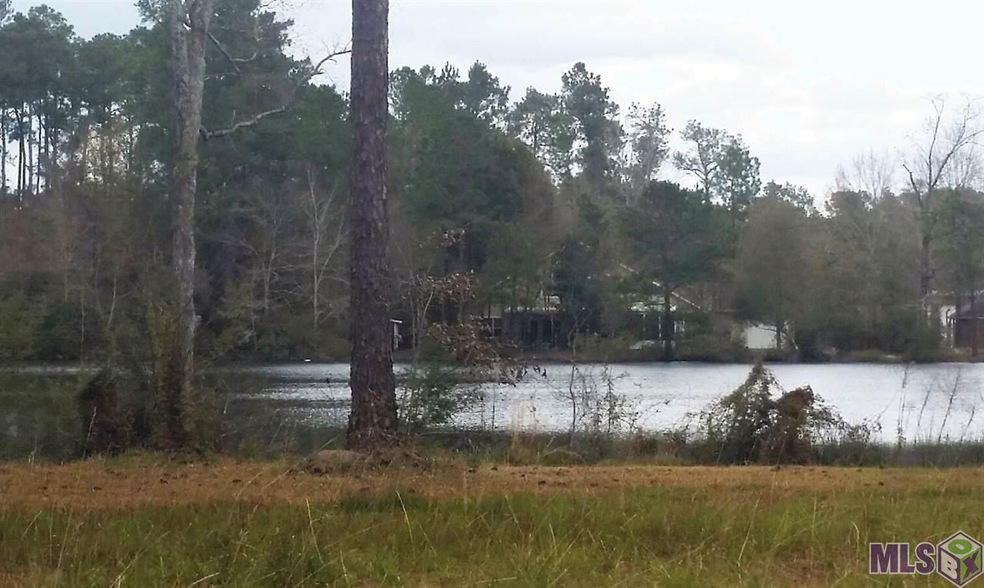 lot on other side of lake on George White Rd