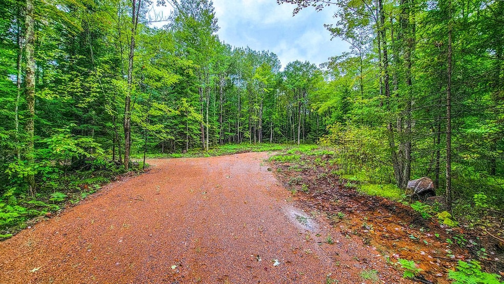 ON Sanctuary Rd, Tomahawk, WI 54487 - photo 1