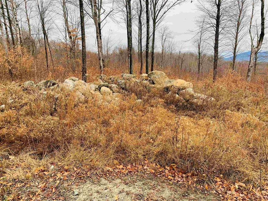 0 Meadow Rd unit 39 4892249, Newbury, NH 03255 - photo 1