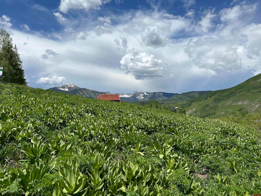 18 Cinnamon Mountain Rd, Mount Crested Butte, CO 81225 - photo 1