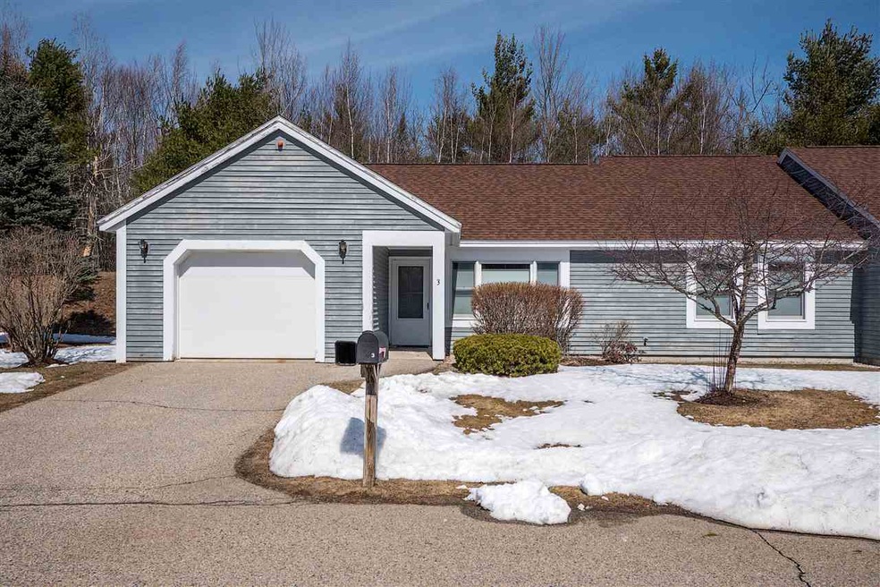 3 Vappi Vale Ln unit 3, Moultonborough, NH 03254 - photo 1