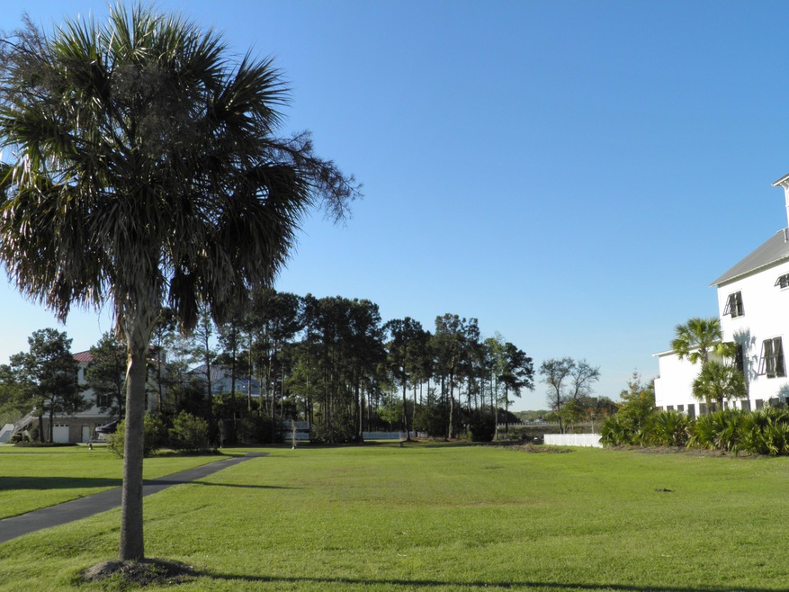 P3290371.JPG