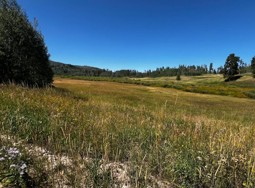 32625 Colt Trail, Oak Creek, CO 80467 - photo 1