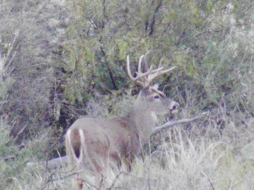 Main View