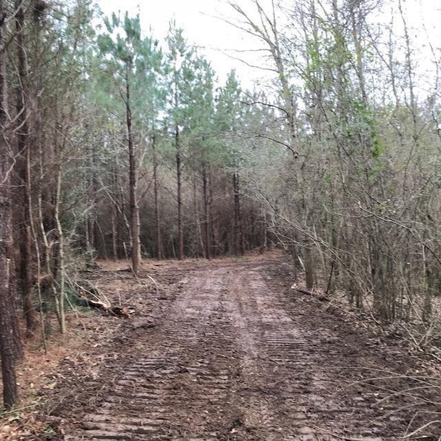 000 Airport Rd, Tylertown, MS 39667 - photo 1