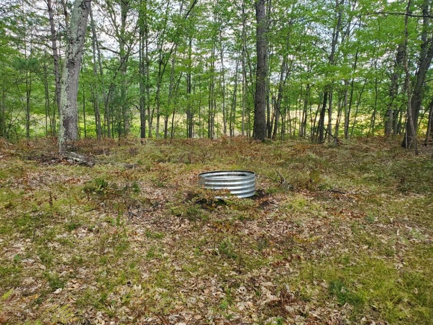 00 N Beaver Trail, Lilley Township, MI 49309 - photo 1