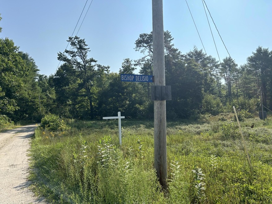 3 Bishop Delisio Ln, Baldwin, ME 04024 - photo 1