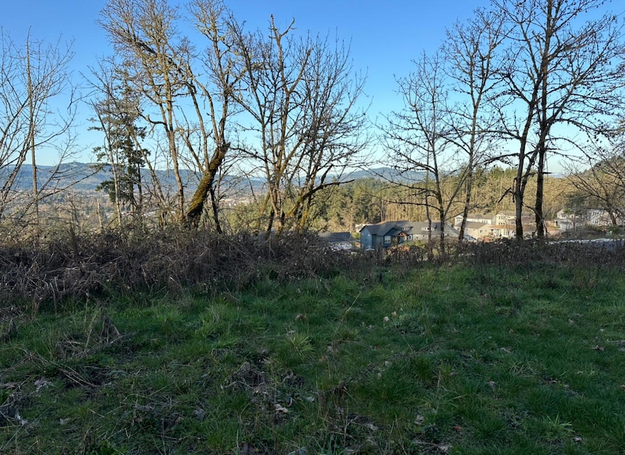 Sold $123,750 • Co-Listing Agent