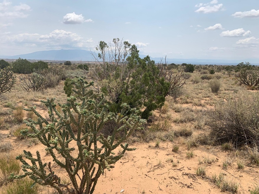 416 26th St NW, Albuquerque, NM 87124 - photo 1