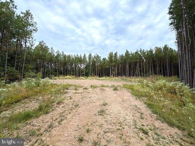 26.89 AC N Texas Rd, Delray, WV 26714 - photo 1