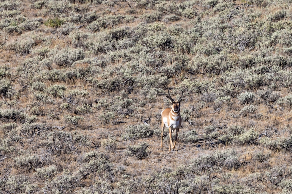 0 Tbd unit 25641985, Big Piney, WY 83113 - photo 1