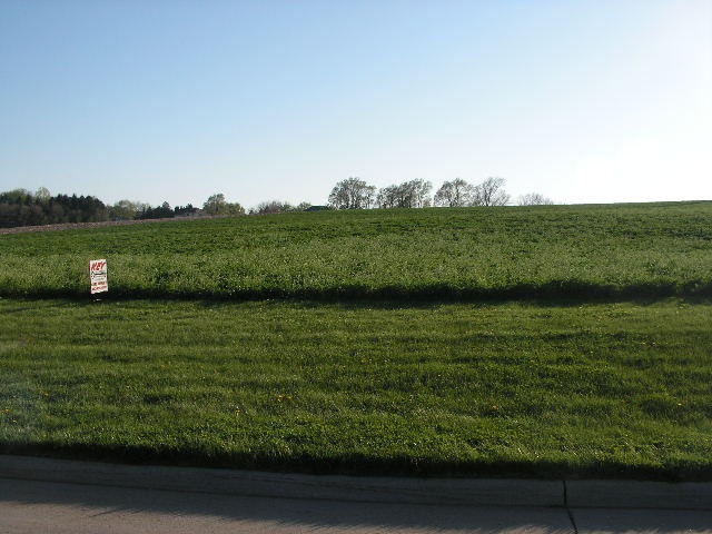 Lot View