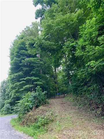 Entrance to property from Anderson Branch Road.