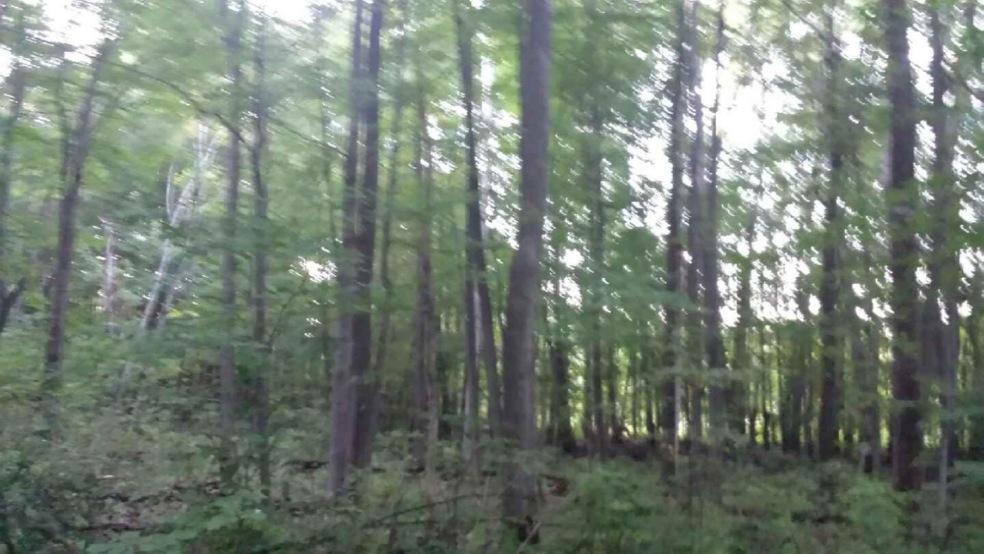 20140923_192550