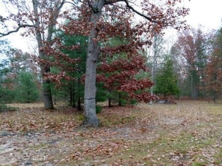 IMG_20171030_142916861_HDR