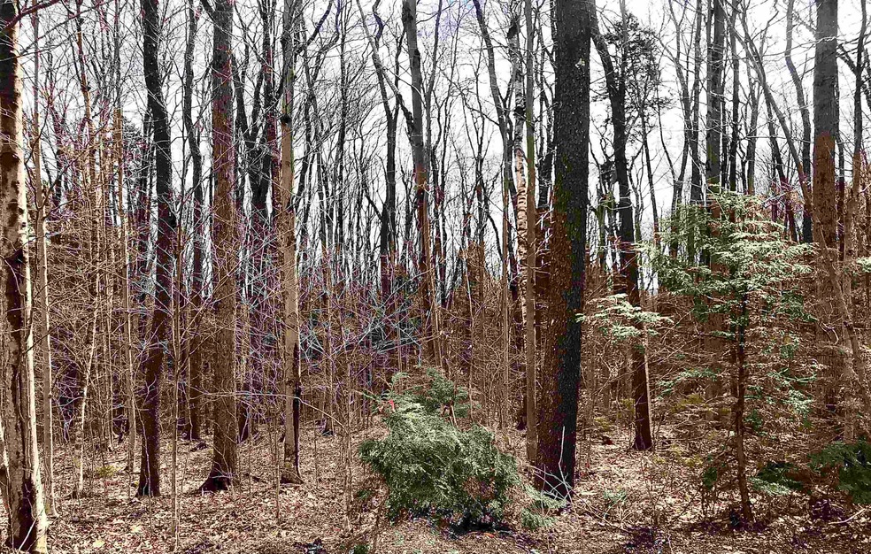 46 Quail Ct unit CHM046.000 & CHM04, Wilmington, VT 05363 - photo 1