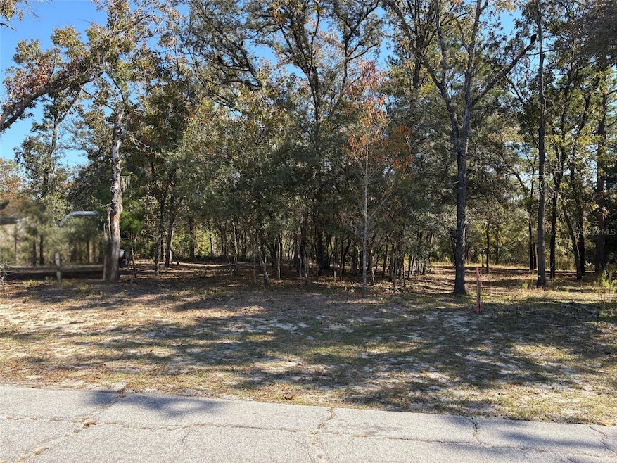 10079 N Ruth Terrace, Citrus Springs, FL 34434 - photo 1