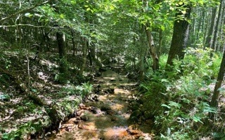 0 Apple Creek Rd unit 308004, Blue Ridge, GA 30513 - photo 1