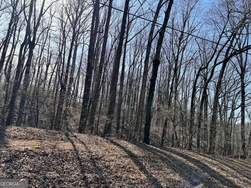 0 Wall Rd unit 10504981, Winder, GA 30680 - photo 1