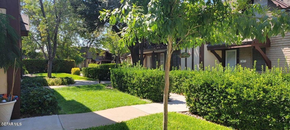 Thunderbird front photo 1