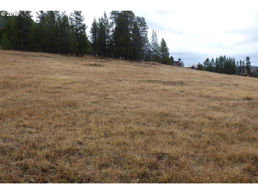 0 E Tabor, Granite, OR 97877 - photo 1