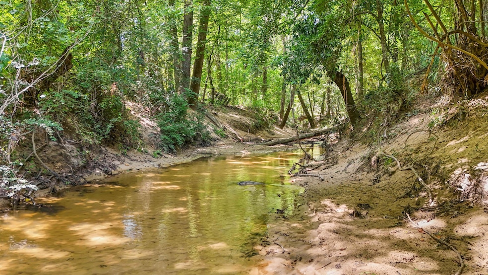 Tbd Hwy 69 N, Woodville, TX 75979 - photo 1