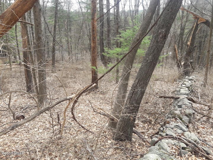 0 Christian Hill Rd, Dingman Township, PA 18337 - photo 1