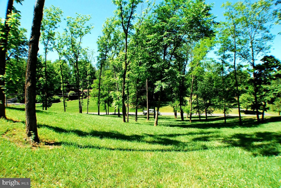 109 Launchris Dr, Winchester, VA 22602 - photo 1