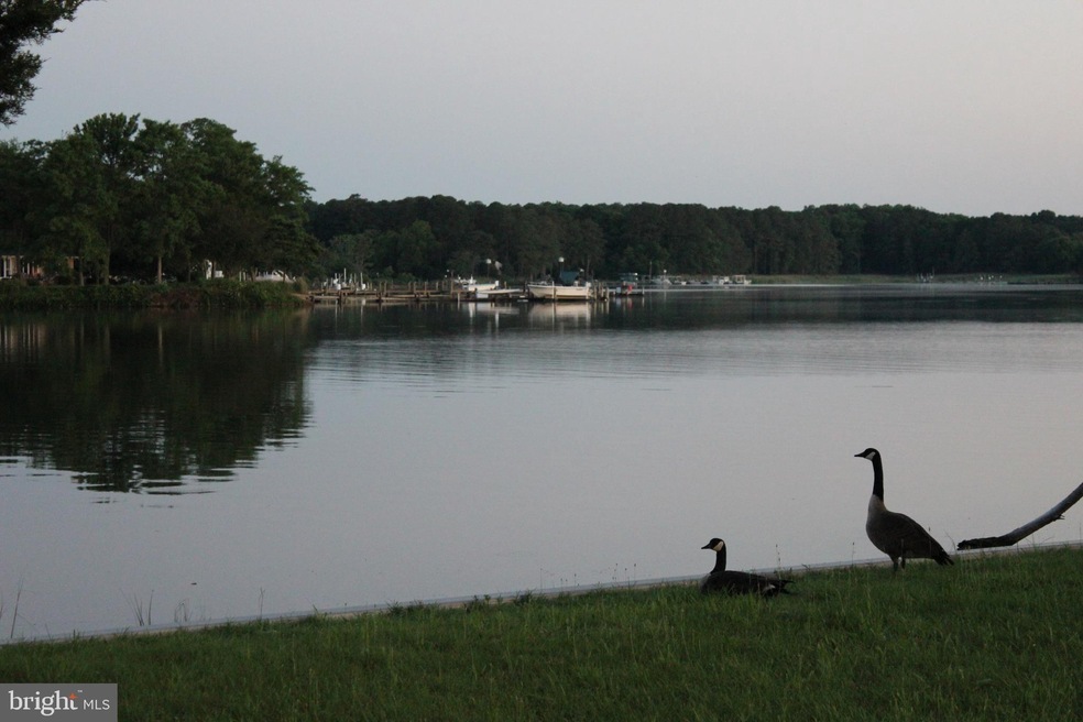 114 Point Rd, Stevensville, MD 21666 - photo 1