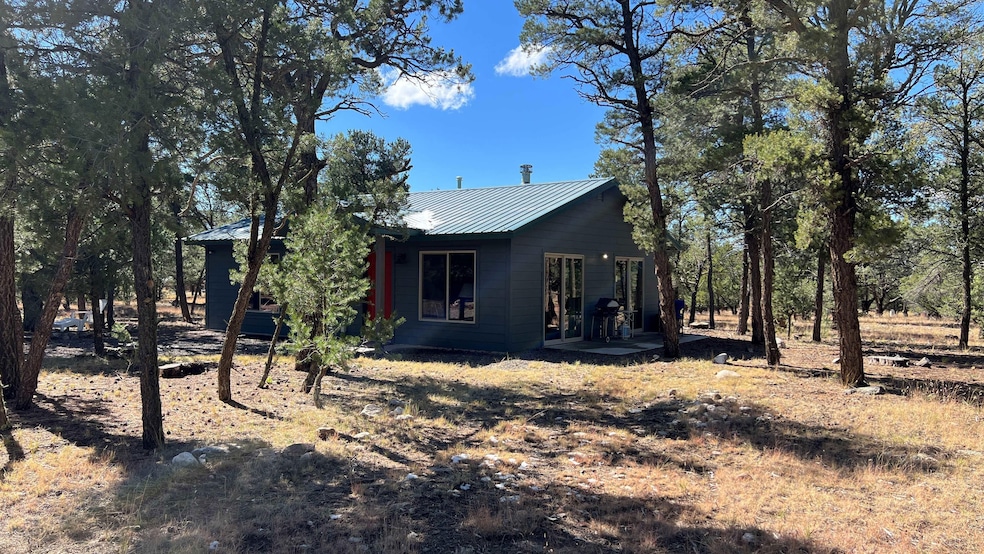 138 El Caso Rd, Quemado, NM 87829 - photo 1