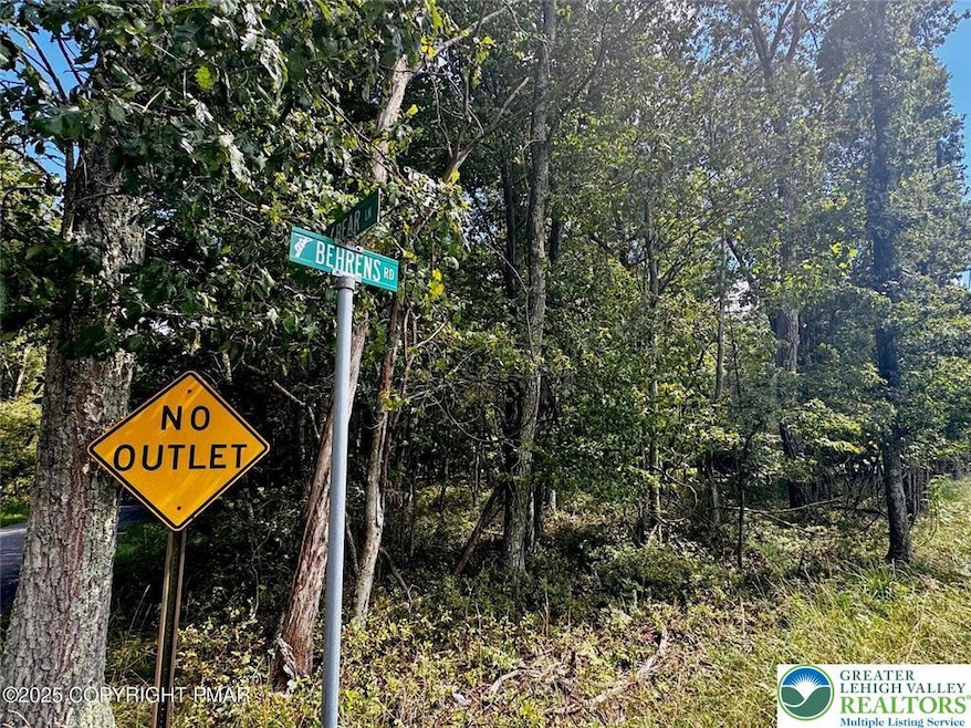 0 Bear & Behrens Rd unit 764100, Penn Forest Township, PA 18229 - photo 1