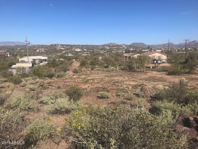 Looking North