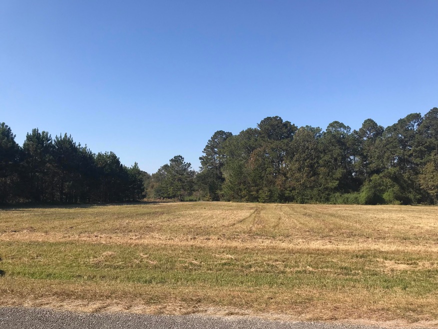 1.75 Acres Katie Eubanks Rd, Lucedale, MS 39452 - photo 1
