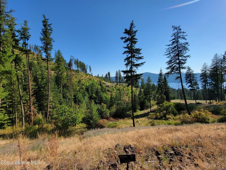 Lot 7 Blk1 Promontory, Harrison, ID 83833 - photo 1